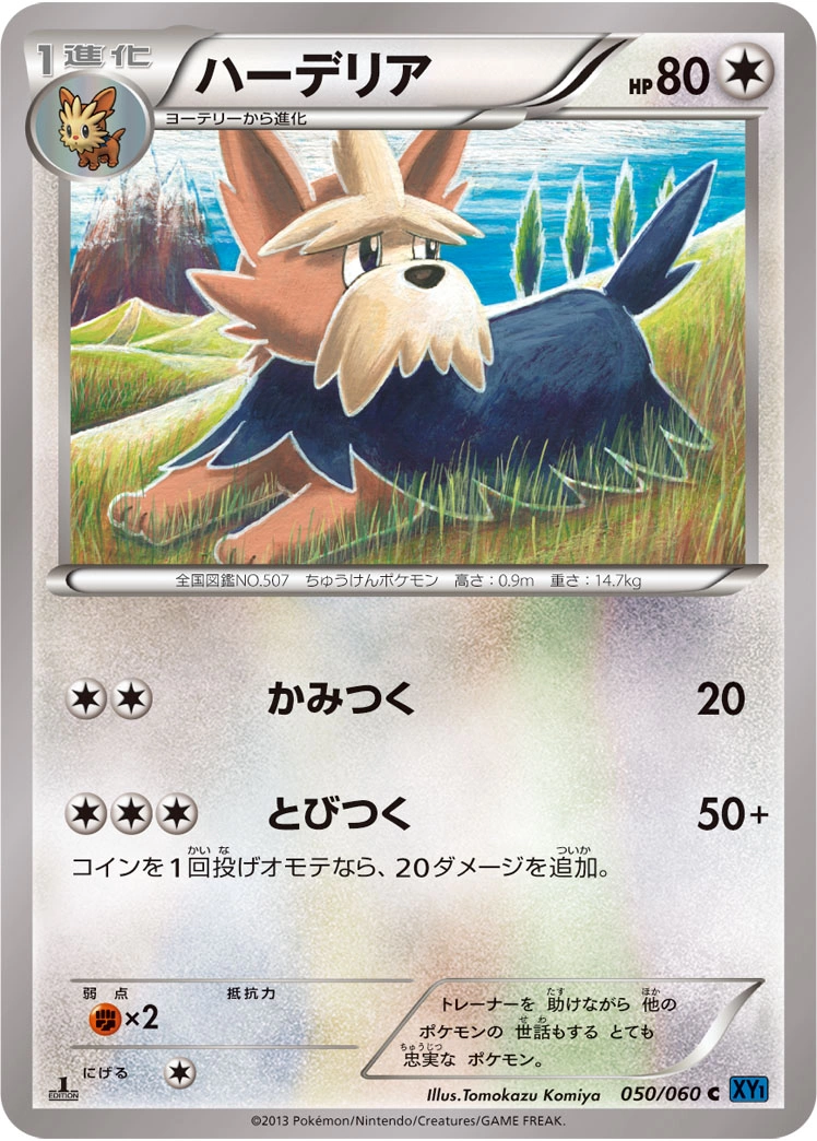 Herdier — Collection X 050/060